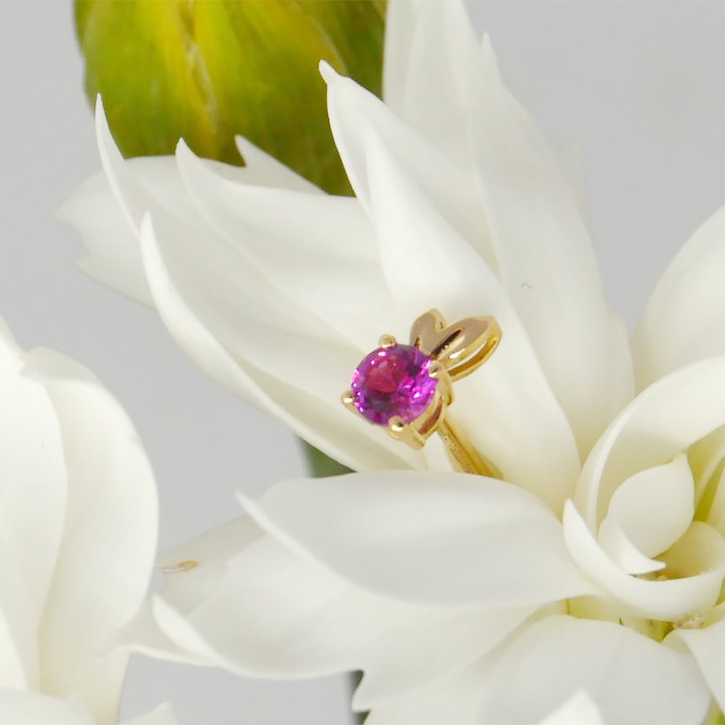 Elf Sapphire/Ruby Earrings